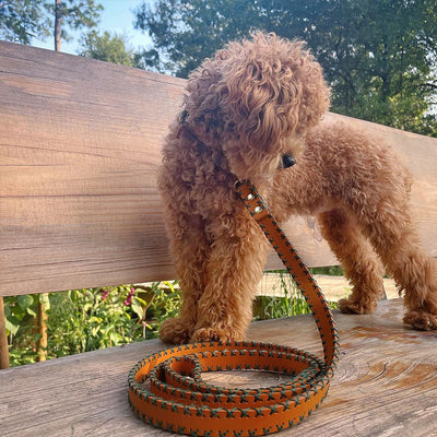 Handcrafted Cross-Stitched Leather Dog Leash