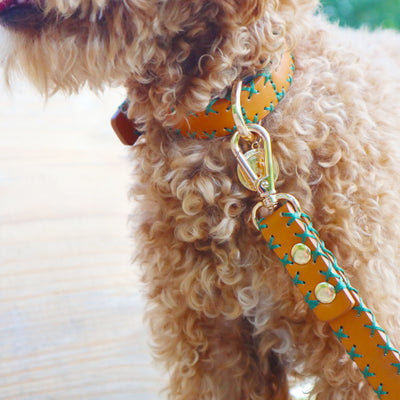 Handcrafted Cross-Stitched Leather Dog Collar